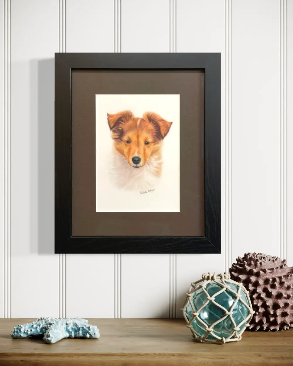 Framed realistic custom portrait of Sheltie puppy head and chest, hanging on a wall. By Alberta artist Rochelle Colgan